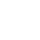 Optional Icon